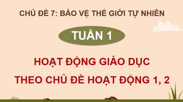 Giáo án PowerPoint HĐTN 12 Chủ đề 7