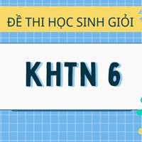 Bộ 30 đề thi học sinh giỏi KHTN 6, có đáp án
