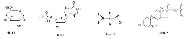 DNA và tính toán DNA