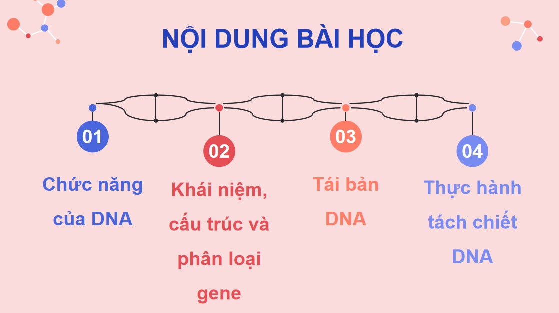 Giáo án PPT Sinh 12 Cánh Diều Bài 1