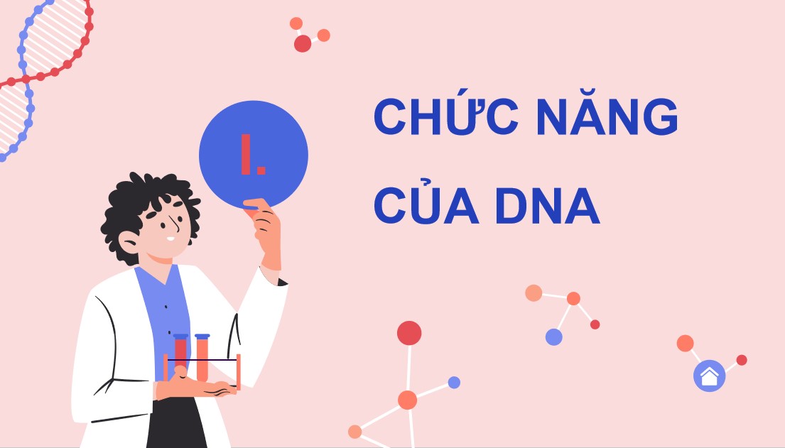 Giáo án PPT Sinh 12 Cánh Diều Bài 1