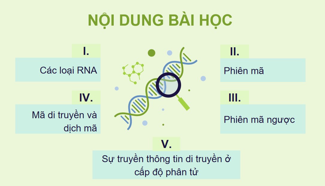 Giáo án PPT Sinh 12 Cánh Diều Bài 2