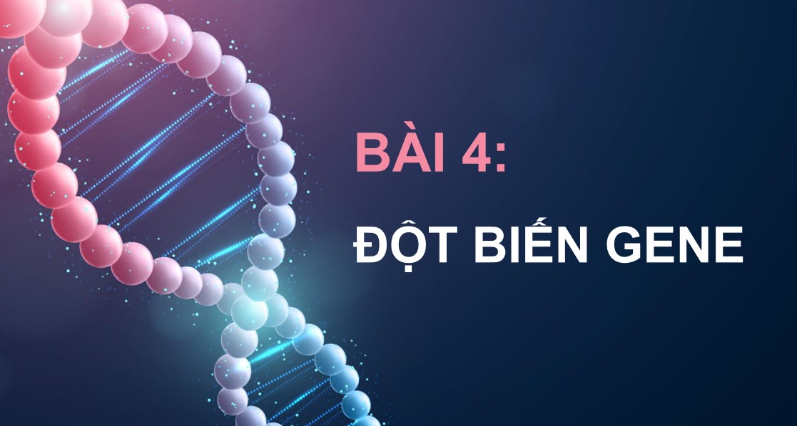 Giáo án PPT Sinh 12 Cánh Diều Bài 4