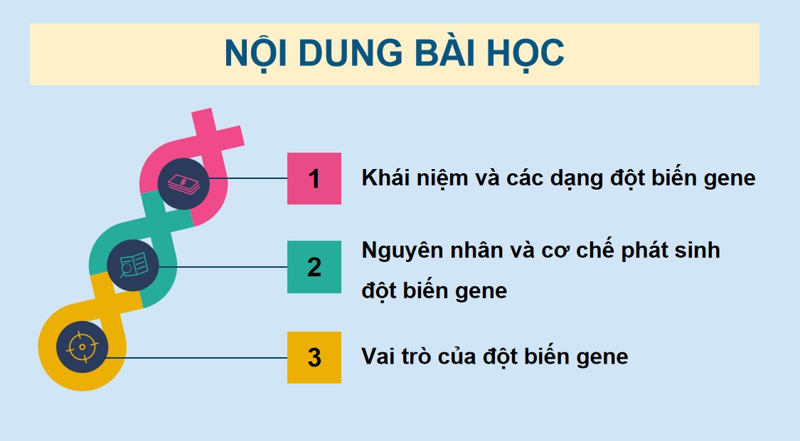Giáo án PPT Sinh 12 Cánh Diều Bài 4