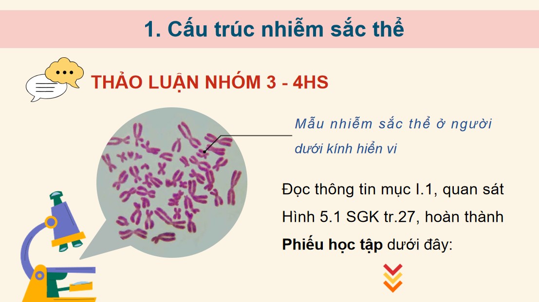 Giáo án PPT Sinh 12 Cánh Diều Bài 5