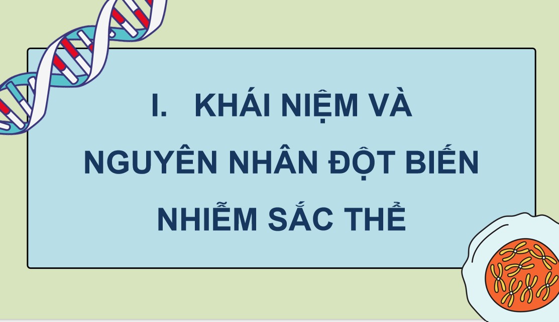 Giáo án PPT Sinh 12 Cánh Diều Bài 6