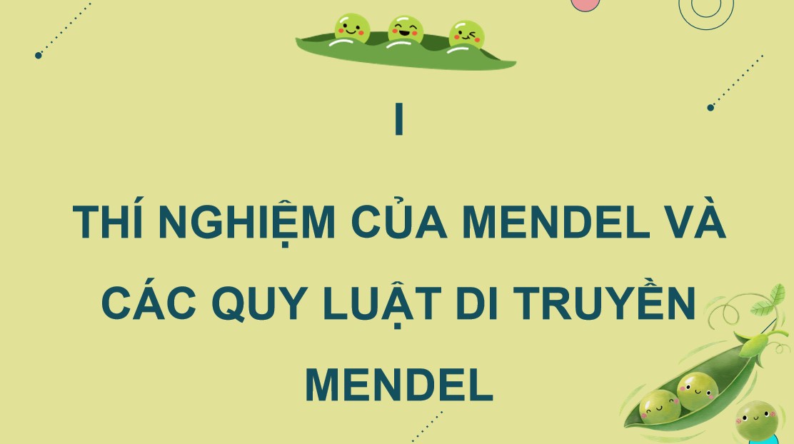 Giáo án PPT Sinh 12 Cánh Diều Bài 7