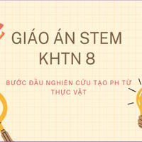 Giáo án Stem lớp 8 chủ đề: Bước đầu nghiên cứu tạo PH từ thực vật