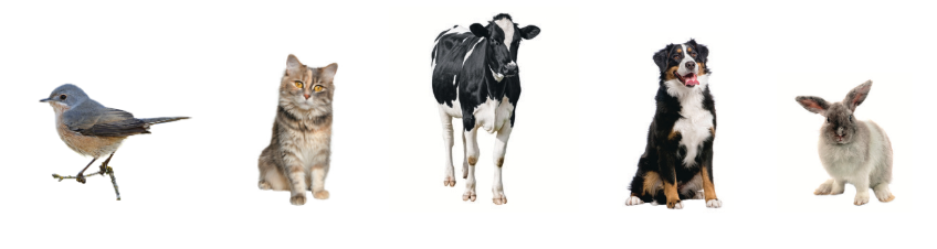 Tiếng Anh lớp 1 Wonderful World Unit 5 Lesson 1 minh họa 1