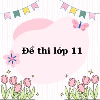 Đề thi Lịch sử lớp 11 năm 2025