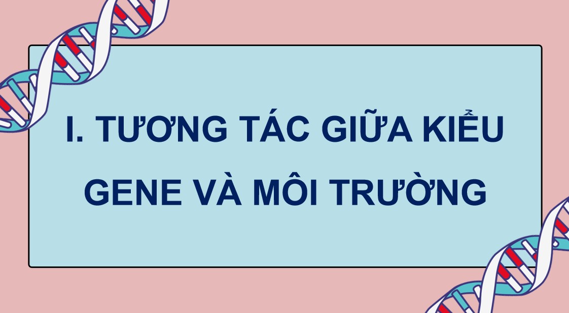Giáo án PPT Sinh 12 Cánh Diều Bài 10