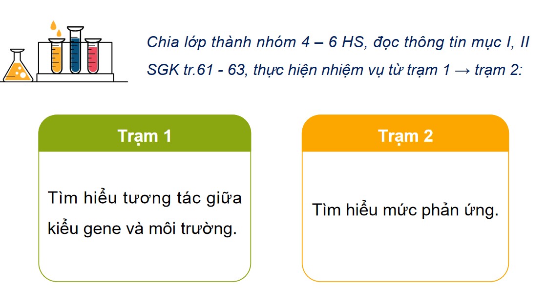 Giáo án PPT Sinh 12 Cánh Diều Bài 10