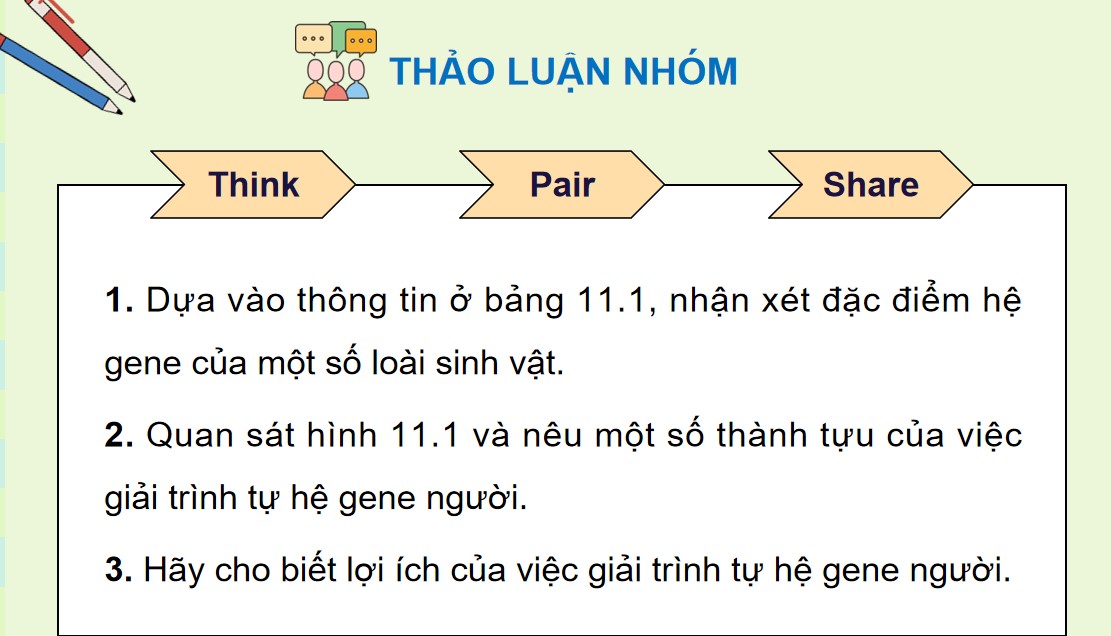 Giáo án PPT Sinh 12 Cánh Diều Bài 11