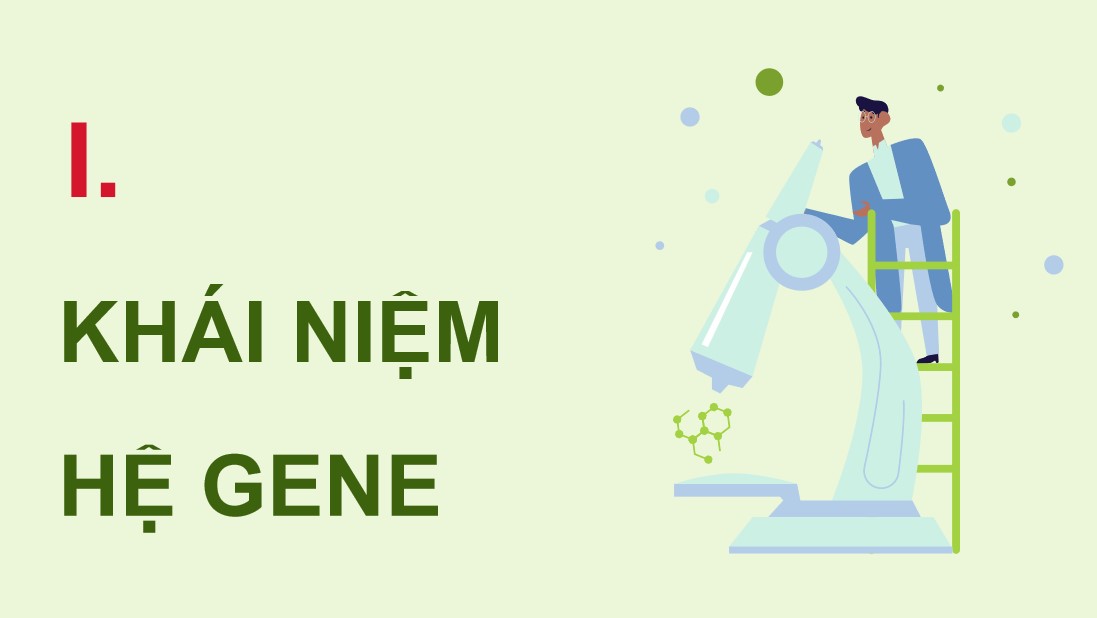 Giáo án PPT Sinh 12 Cánh Diều Bài 11