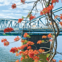 Giáo án Tiếng Việt 3 Bài 1: Gió sông Hương