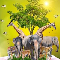 Giáo án Khoa học 4 Bài 18: Ôn tập chủ đề Thực vật và động vật