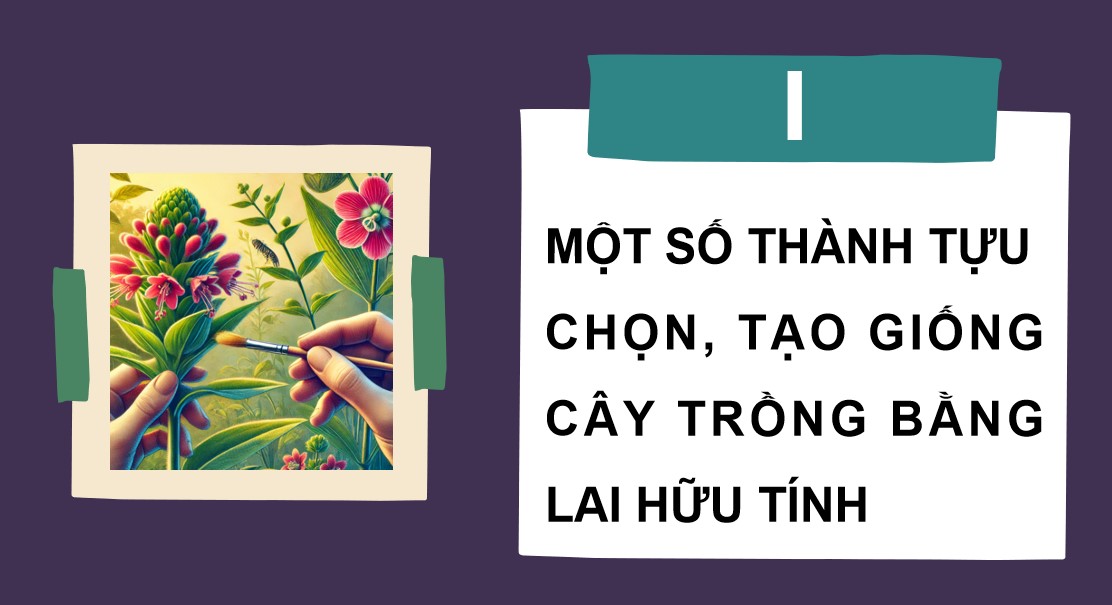 Giáo án PPT Sinh 12 Cánh Diều Bài 12