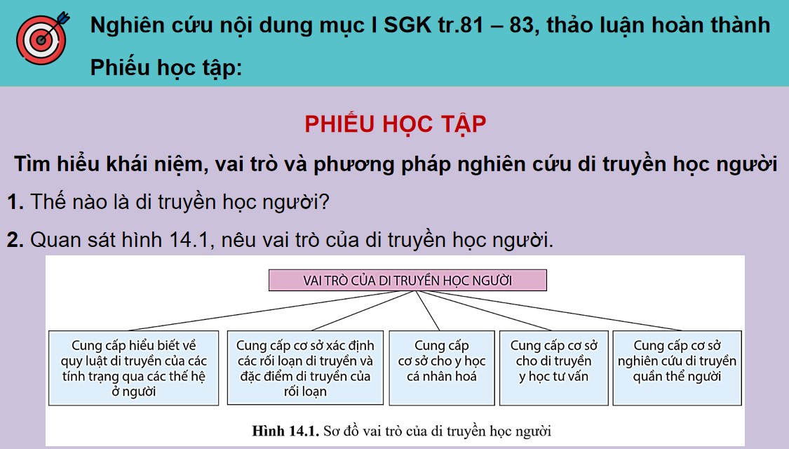Giáo án PPT Sinh 12 Cánh Diều Bài 14