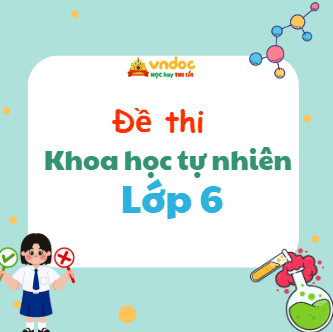 Đề thi KHTN lớp 6 sách Kết nối tri thức