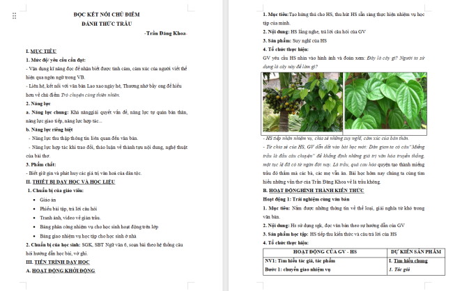 Giáo án Văn 6 Bài 5: Đánh thức trầu