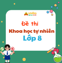Đề thi KHTN lớp 8 sách Kết nối tri thức