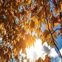 Giáo án Ngữ văn 7 Bài 4: Thu sang  