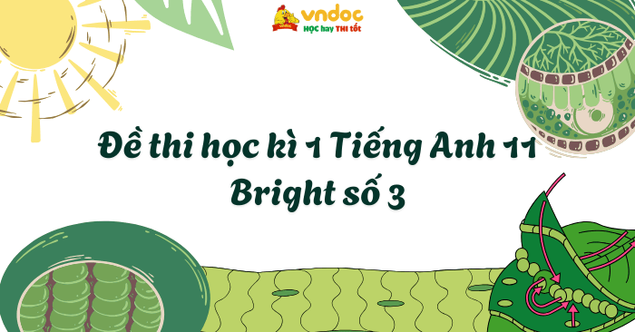 Đề thi học kì 1 Tiếng Anh 11 Bright số 3