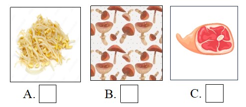 Đề thi học kì 1 tiếng Anh 5 Family and Friends số 5