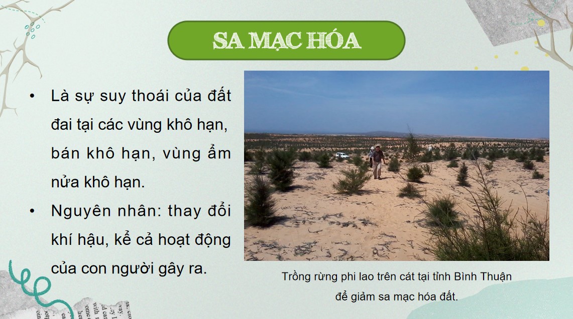 Giáo án PPT Địa lí 9 CTST Bài 16