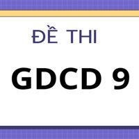 Đề thi GDCD lớp 9