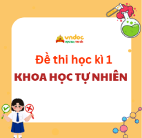 Bộ đề thi học kì 1 KHTN 6, 7, 8, 9 Kết nối tri thức Theo CV 7991 (Dạy nối tiếp)