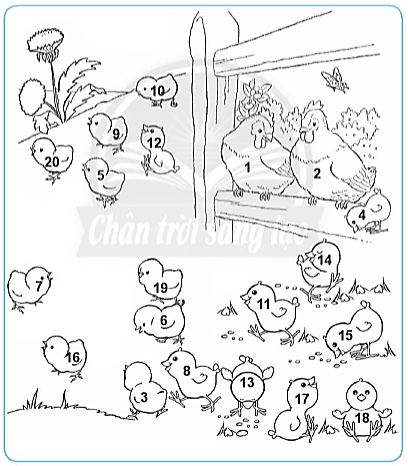 Giải vở bài tập Toán lớp 2 Bảng nhân 2 (trang 14) - Chân trời sáng tạo