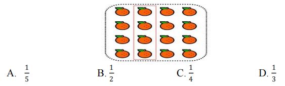Đề kiểm tra giữa học kì 1 môn Toán lớp 3