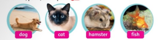 Tiếng Anh 2 Family and Friends Culture 1