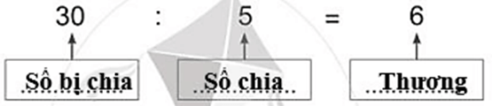 Vở bài tập Toán lớp 2 Bài 62: Số bị chia – Số chia - Thương (trang 24) | Cánh diều