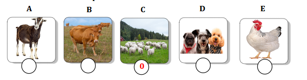 Đề thi học kì 1 lớp 4 môn tiếng Anh Wonderful world minh họa 1