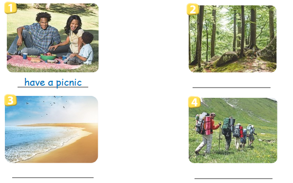 SBT tiếng Anh 4 Wonderful World unit 6 lesson 3 minh họa 1