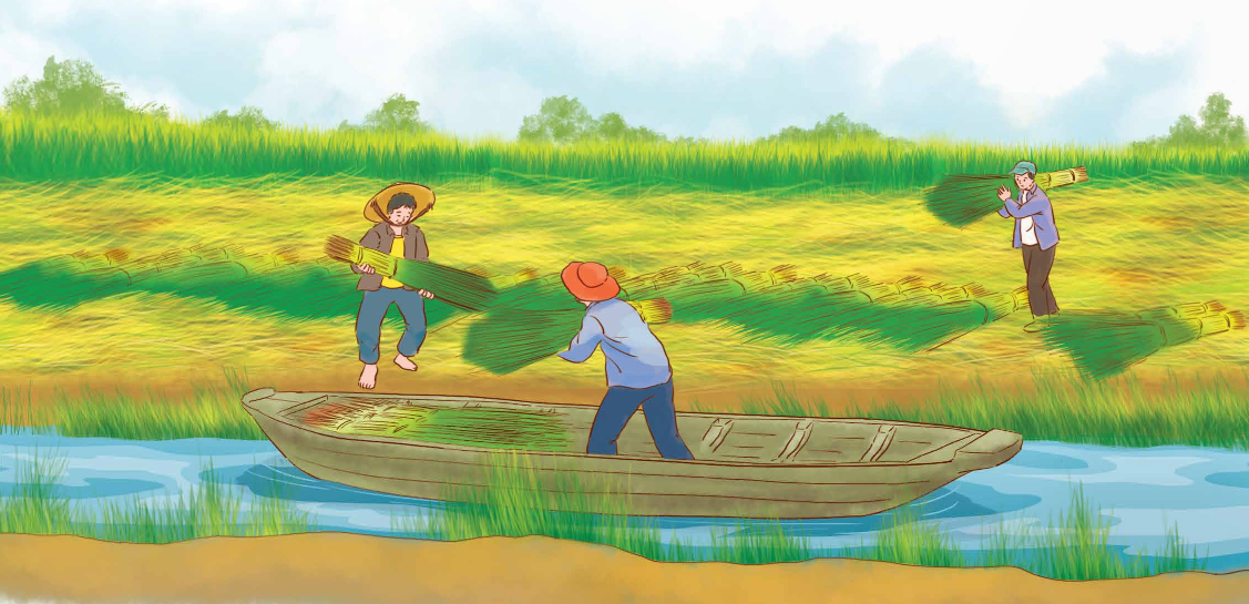 Từ những cánh đồng xanh trang 144 lớp 5 Tập 1 Chân trời sáng tạo