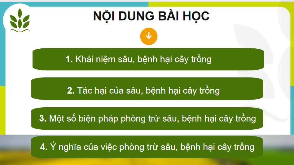 Sâu bệnh hại cây trồng và ý nghĩa của việc phòng trừ