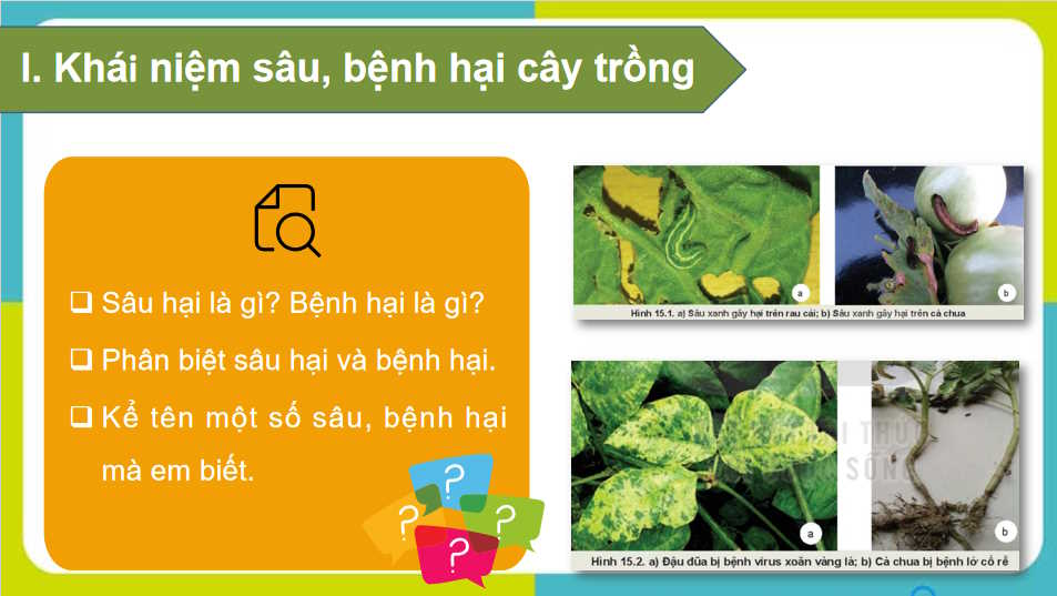 Sâu bệnh hại cây trồng và ý nghĩa của việc phòng trừ