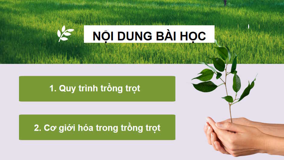 Quy trình trồng trọt và cơ giới hoá trong trồng trọt