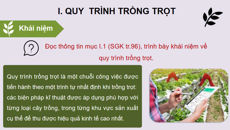 Quy trình trồng trọt và cơ giới hoá trong trồng trọt