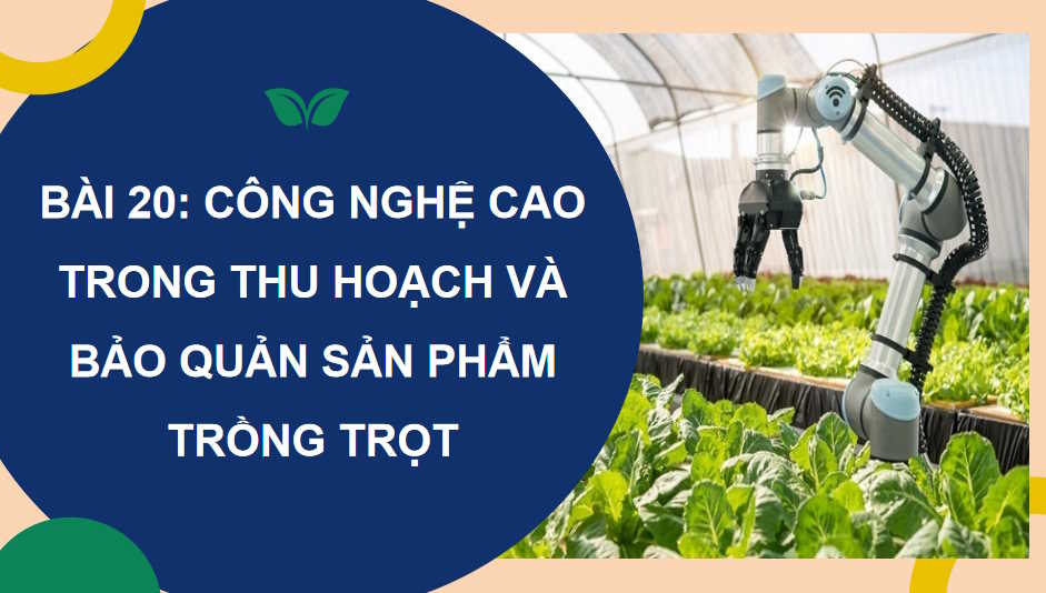 Công nghệ cao trong thu hoạch và bảo quản sản phẩm trồng trọt