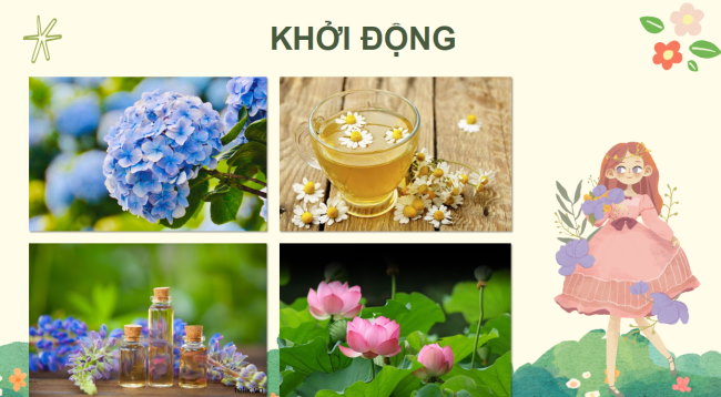 Giáo án PowerPoint Công nghệ 4 sách Kết nối tri thức