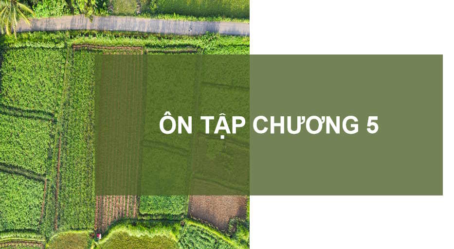 PowerPoint Công nghệ 10: Ôn tập chương 5