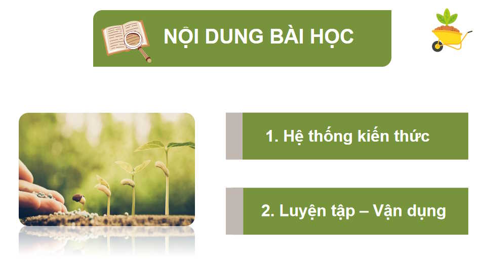 PowerPoint Công nghệ 10: Ôn tập chương 5