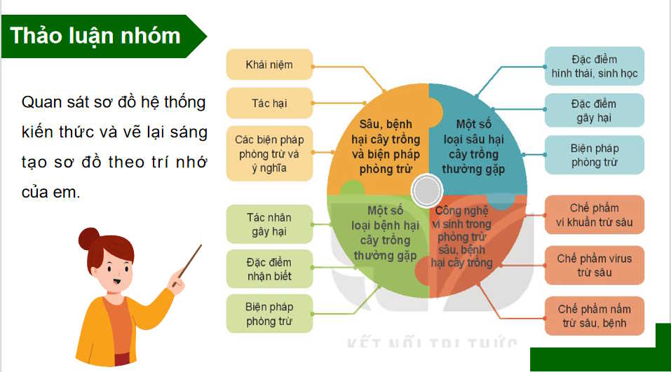 PowerPoint Công nghệ 10: Ôn tập chương 5