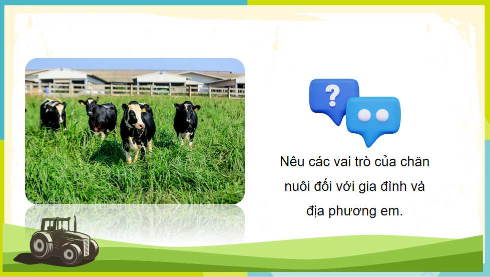 Vai trò và triển vọng của chăn nuôi