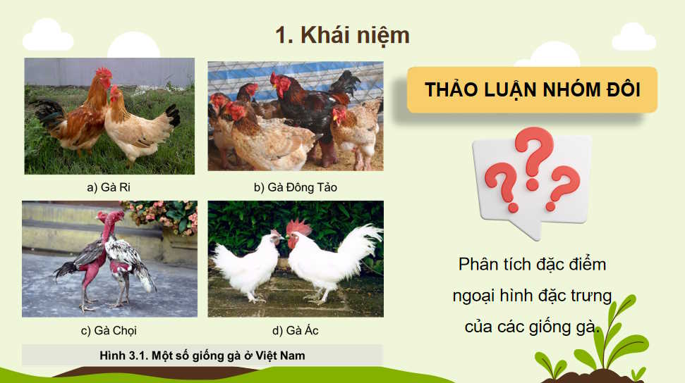 Khái niệm vai trò của giống trong chăn nuôi