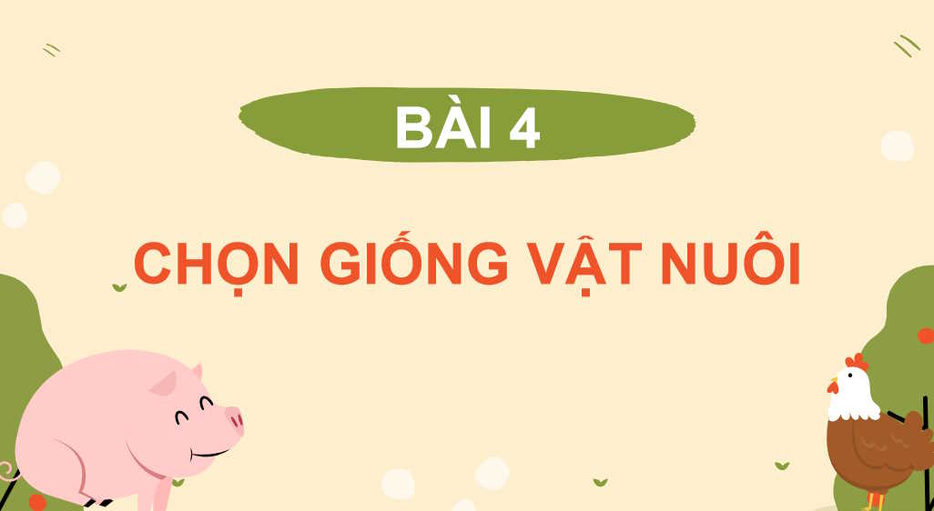 Chọn giống vật nuôi